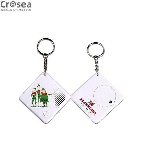 Popular selling Custom Sound music Effect Keychain wholesale in China